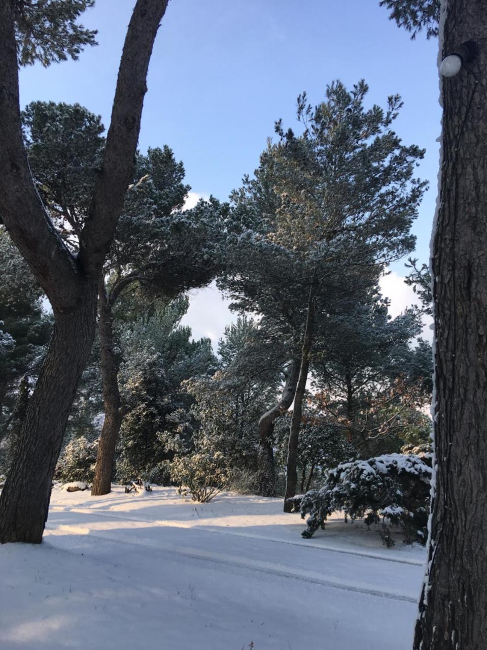 Il Colle Delle Terrazze 호텔 파노 외부 사진